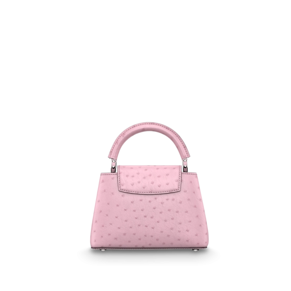 Look Stylish with Louis Vuitton Capucines Mini for Women's!