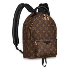 Shop the Louis Vuitton Palm Springs PM Bag for Women