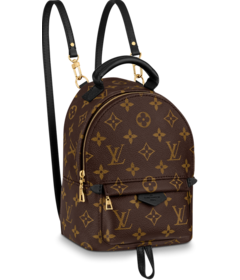 Shop Louis Vuitton Palm Springs Mini for Women at Discount Prices!