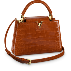 Shop Louis Vuitton Capucines BB for Women's - Sale & Buy Now!