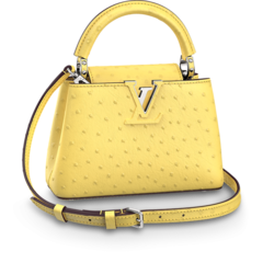 Shop Louis Vuitton Capucines Mini for Women's