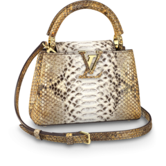 Women's Louis Vuitton Capucines Mini Combination of Brown and Golden - Get Discount Now!