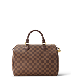 Louis Vuitton Louis Vuitton Speedy 30