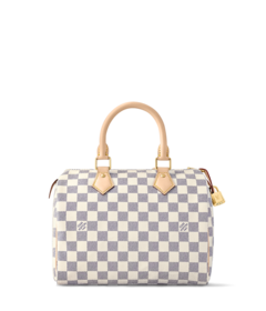 Louis Vuitton Louis Vuitton Speedy 25