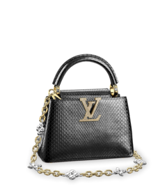 Louis Vuitton Louis Vuitton Capucines Mini