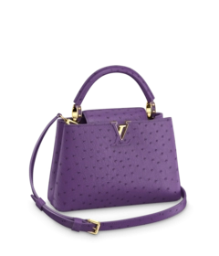 Louis Vuitton Louis Vuitton Capucines BB