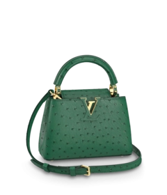 Louis Vuitton Louis Vuitton Capucines Mini