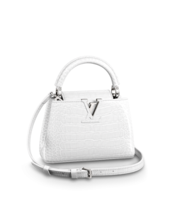 Louis Vuitton Louis Vuitton Capucines Mini