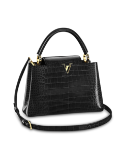 Louis Vuitton Louis Vuitton Capucines MM