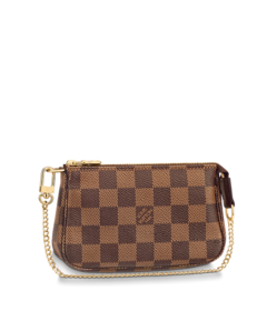 Louis Vuitton Louis Vuitton Mini Pochette Accessoires