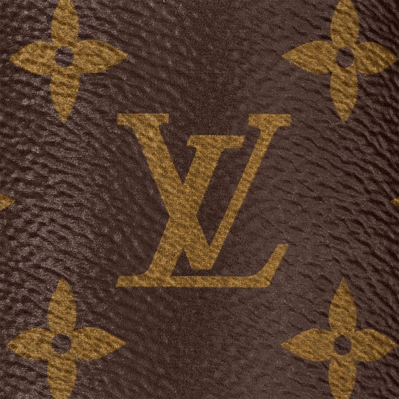 Enhance Your Look with Louis Vuitton Women's Cacao Brown Mule
