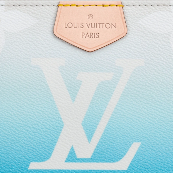 Women's Luxury: Louis Vuitton Multi Pochette Accessoires