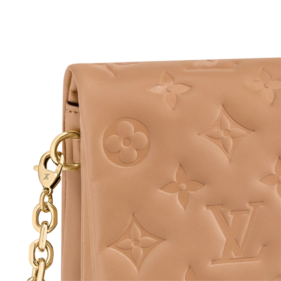 Shop Women's Louis Vuitton Pochette Coussin