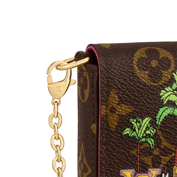 Buy Women's Louis Vuitton Felicie Pochette at a Discount!