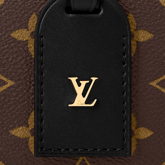 Be Fashionable with Louis Vuitton Petite Malle Souple for Women
