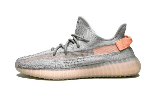 Yeezy Boost 350 v2 True Form