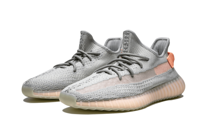 Look Stylish with the Yeezy Boost 350 v2 True Form Men's Sneakers - Buy Now and Save!