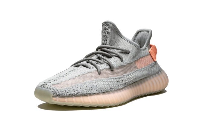 Yeezy Boost 350 v2 True Form