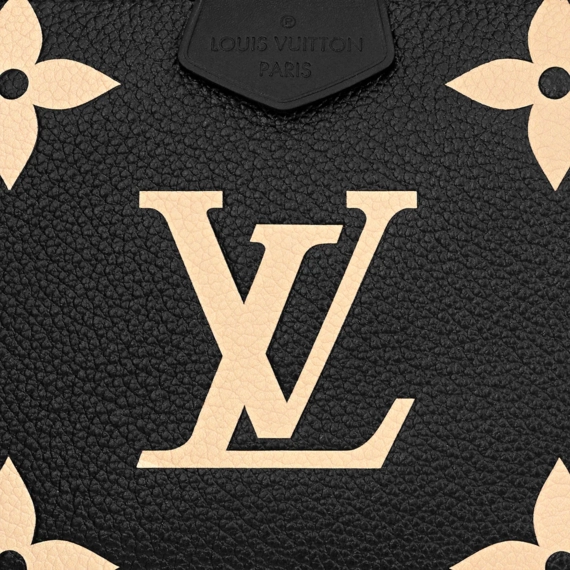 Louis Vuitton Multi Pochette Accessoires - A Must Have for Women