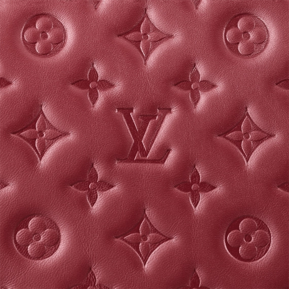 Women's Designer Bag: Louis Vuitton Coussin PM