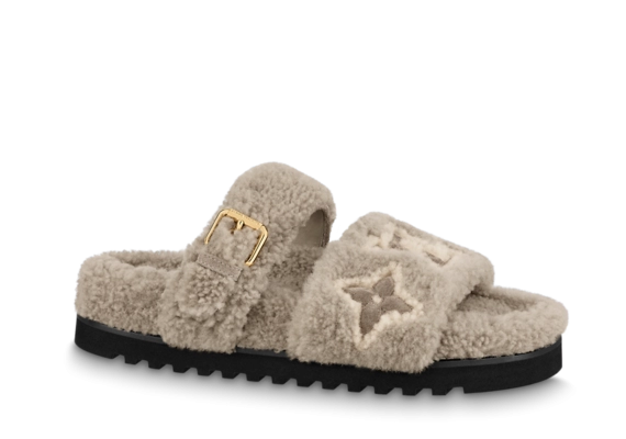 Louis Vuitton Paseo Flat Comfort Mule: Get the Perfect Women's Shoes!