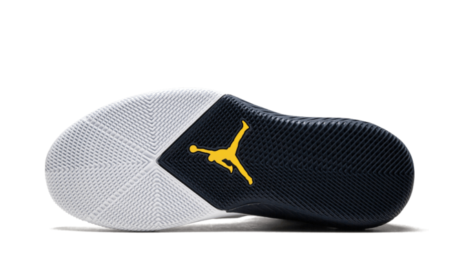 Men's Air Jordan 31 Why Not Zero .1 Michigan PE Shoes - Buy Now and Save!