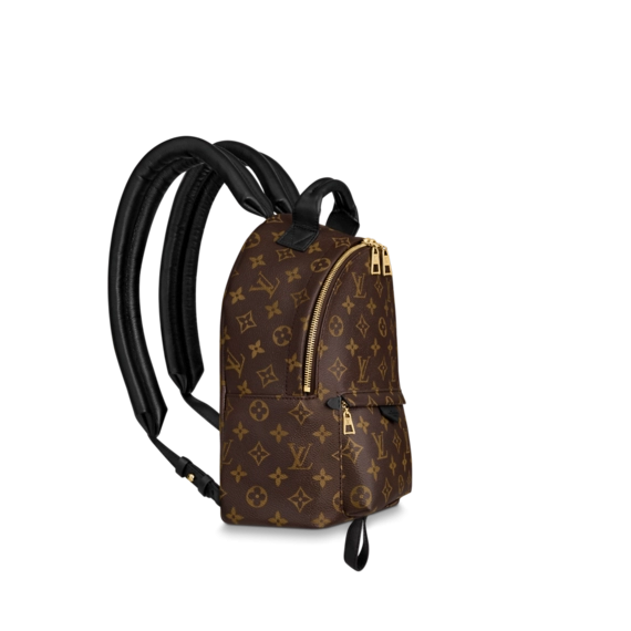 Look Chic with the Louis Vuitton Palm Springs PM Bag for Women