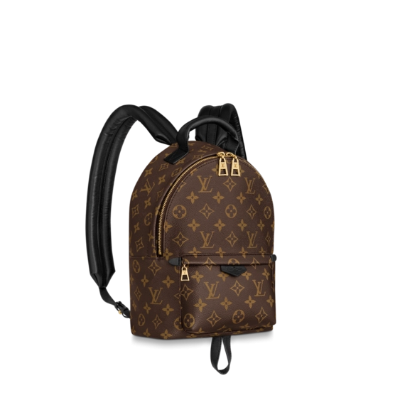 Shop the Louis Vuitton Palm Springs PM Bag for Women