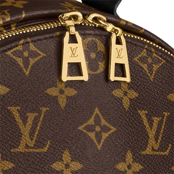 Grab a Great Deal on the Louis Vuitton Palm Springs MM for Women!