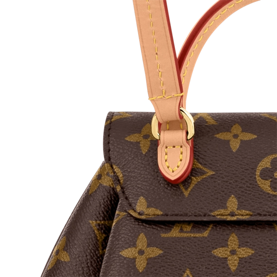 Women's Designer Handbag: Louis Vuitton Montsouris PM