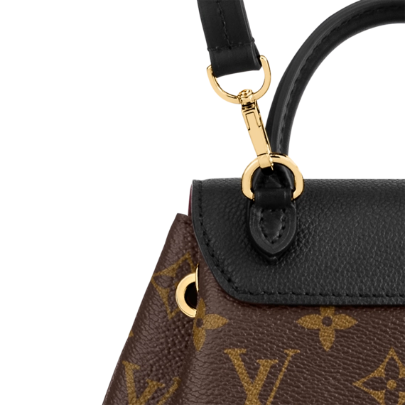 Buy the Stylish Louis Vuitton Montsouris BB for Women