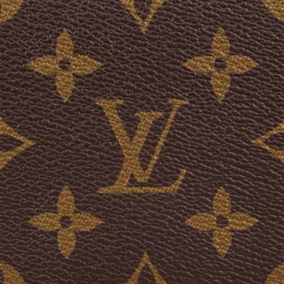 Get the Best Designer Bag for Women - Louis Vuitton Petit Noe