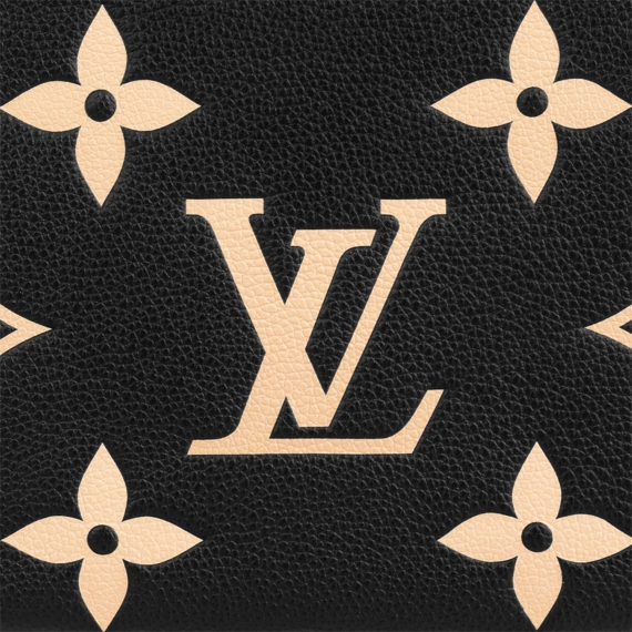 Fashionable Louis Vuitton Double Zip Pochette for Women - Buy Online