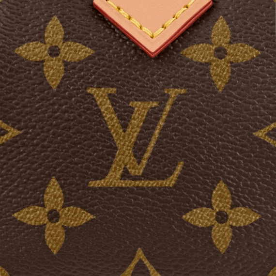 Be Chic with the Louis Vuitton Nano Speedy for Women