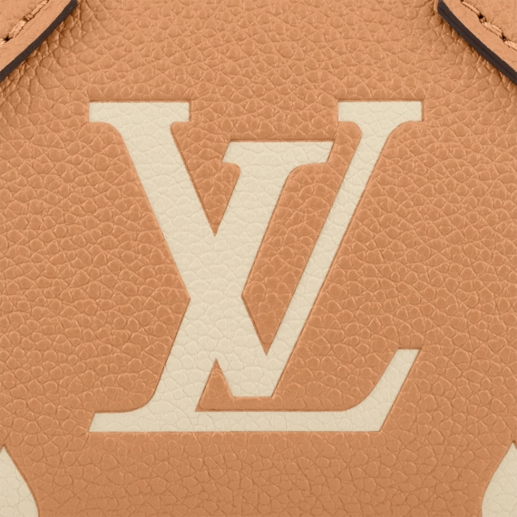 Stylish Louis Vuitton Nano Speedy for Women