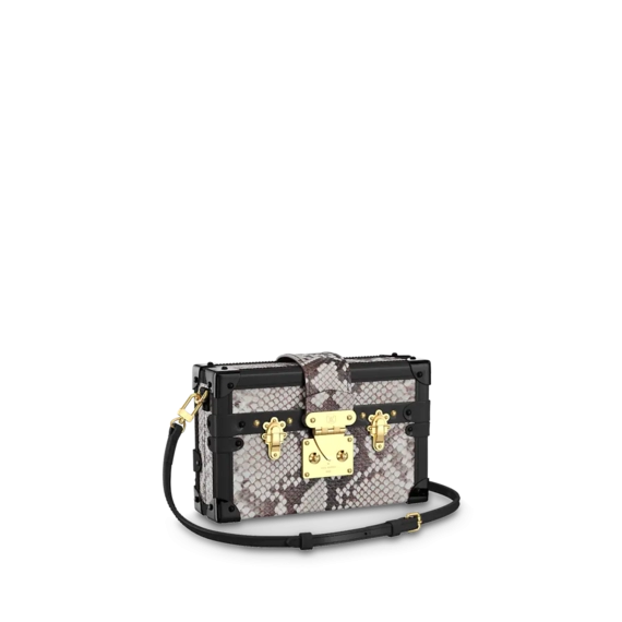 Shop Louis Vuitton Petite Malle for Women