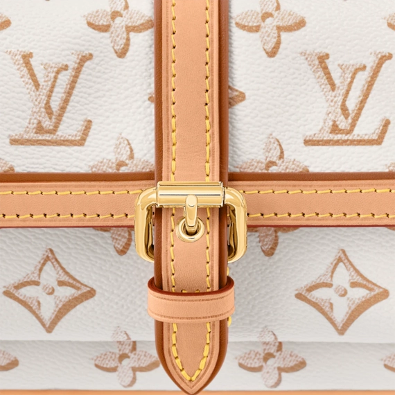 Shop Women's Louis Vuitton Maxi Multi Pochette Accessoires Online