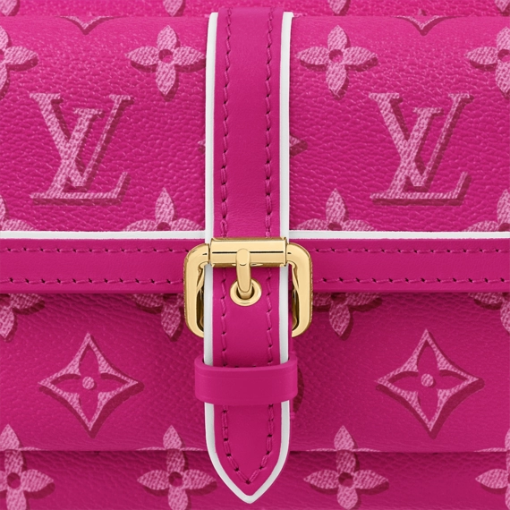 Add a Touch of Luxury to Your Look with Louis Vuitton Maxi Multi Pochette Accessoires