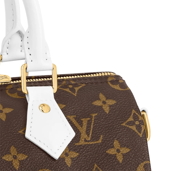 Look Stylish with the Louis Vuitton Speedy Bandouliere 25