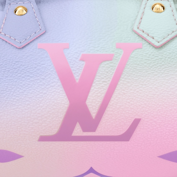 Treat Yourself to a Louis Vuitton Papillon BB Women's Bag!