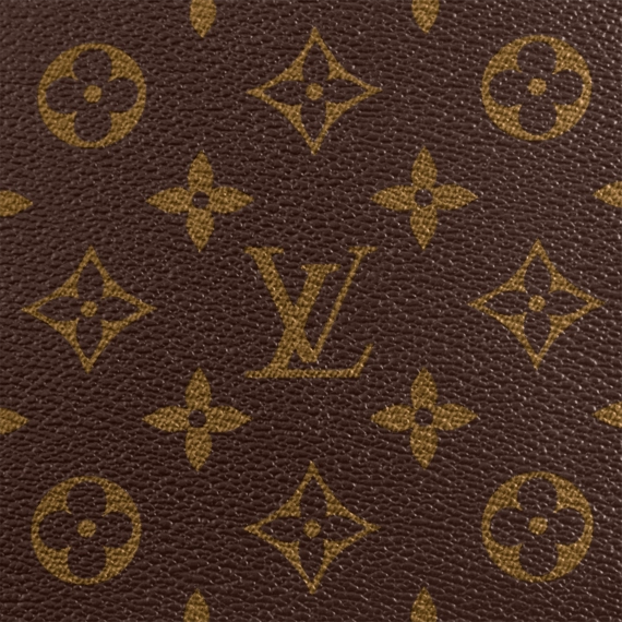 Luxury Louis Vuitton Petit Palais - Buy Now!