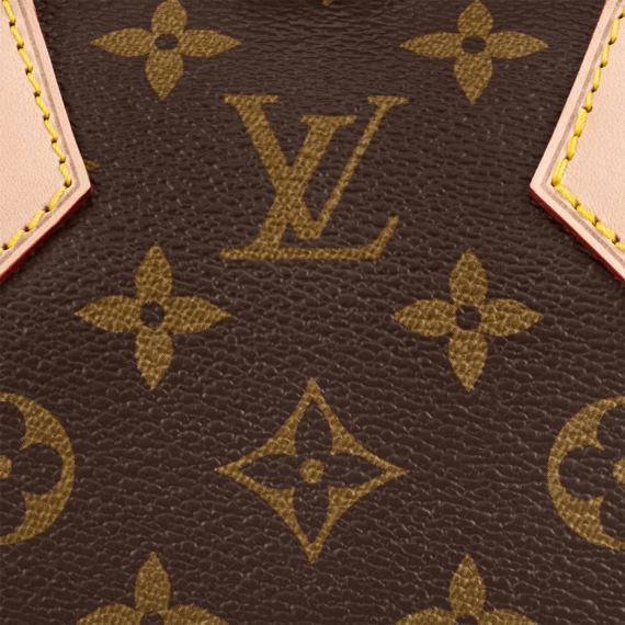 Women's Designer Bag - Louis Vuitton Speedy Bandouliere 20 - Get It Now On Sale!