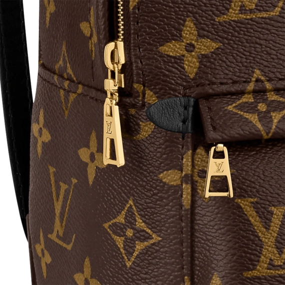 Find the Perfect Women's Louis Vuitton Palm Springs Mini at a Discount!