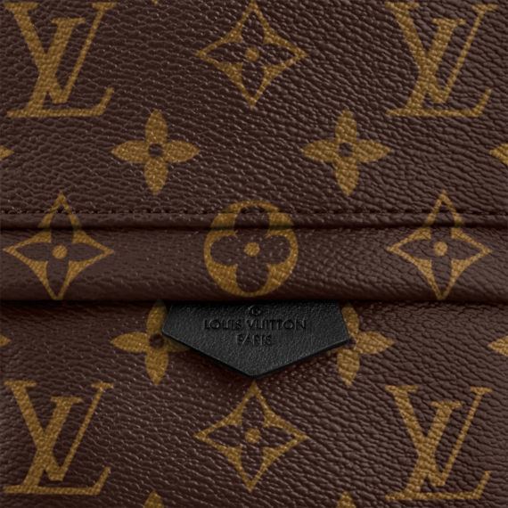 Women's Louis Vuitton Palm Springs Mini - Get it Now at a Discount!