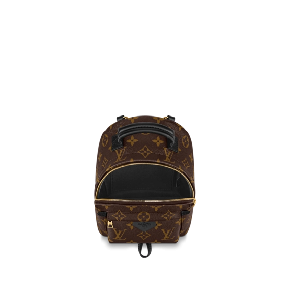 Discounted Louis Vuitton Palm Springs Mini for Women!