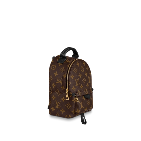 Women's Louis Vuitton Palm Springs Mini - Buy at a Discount!