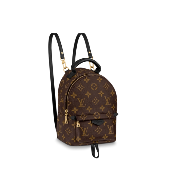 Shop Louis Vuitton Palm Springs Mini for Women at Discount Prices!