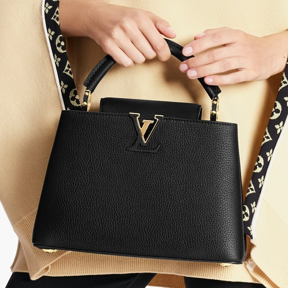 Get Discount on Louis Vuitton Capucines BB Women's Accessory!