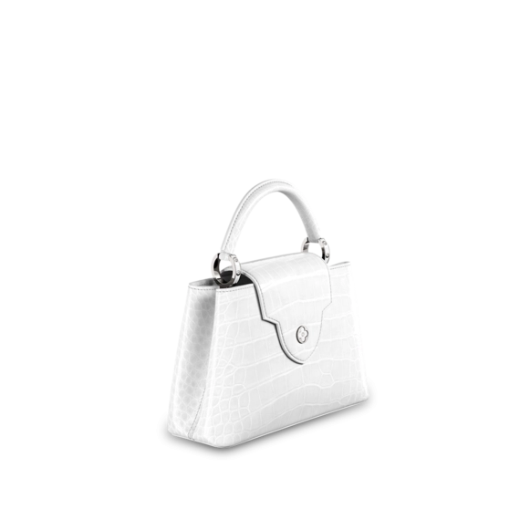 Shop the Latest Louis Vuitton Capucines BB Women's Bag - Save Now!