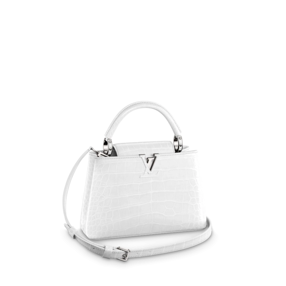 Louis Vuitton Capucines BB Women's Bag - Get Discount Now!